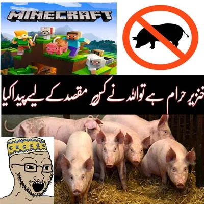 Haram Detector