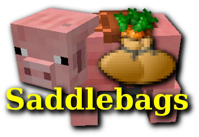 Saddlebags