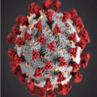Virus