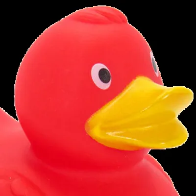 Angry Ducks Advanced