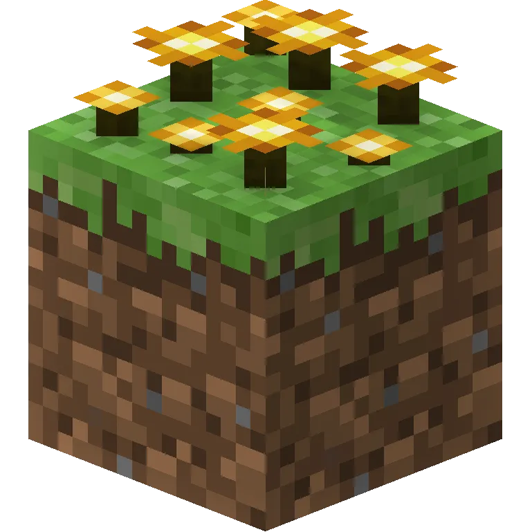 The Golden Forest