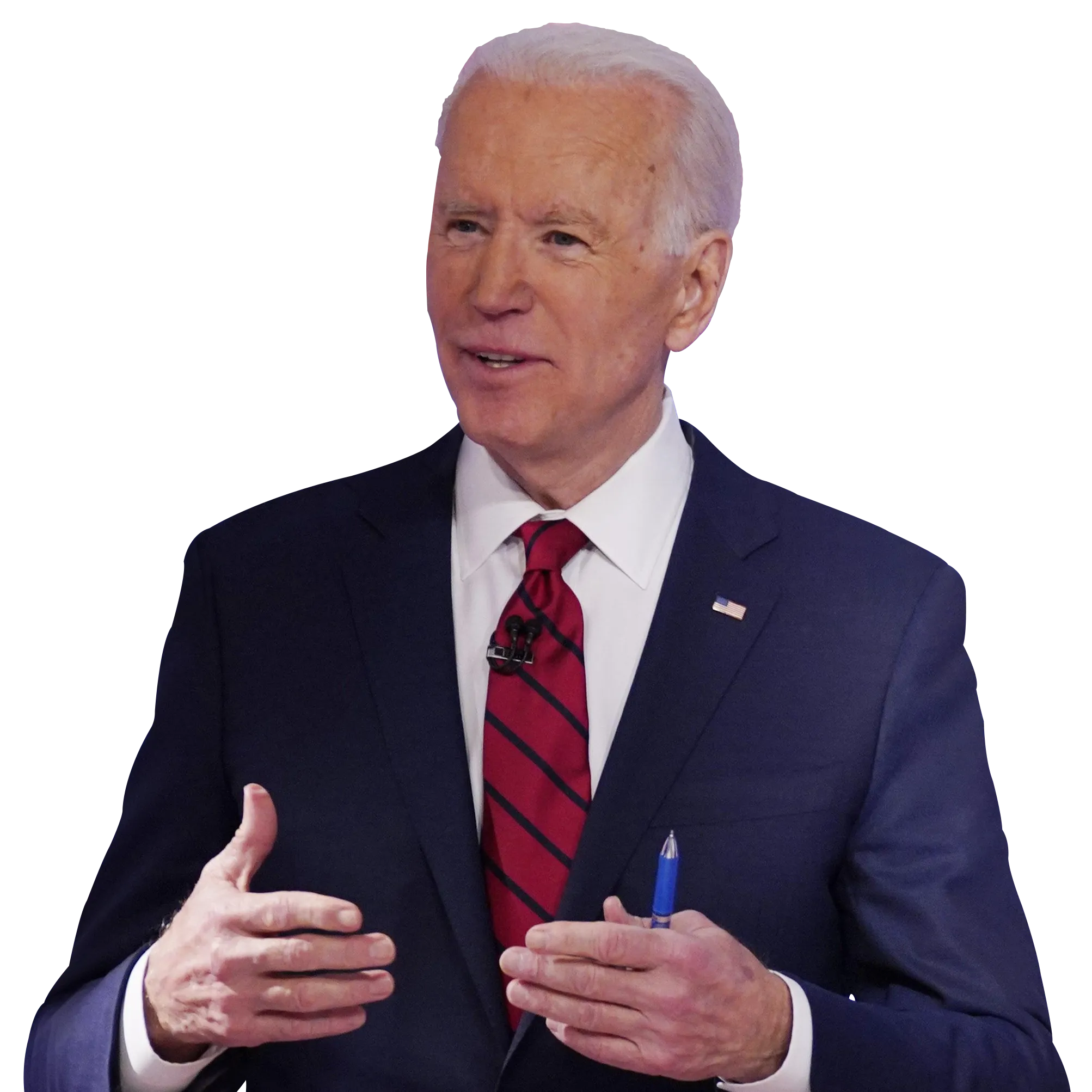Biden Flower Texture