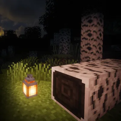 Clotard's Hyposphagma Forest - Dark Birch Forest