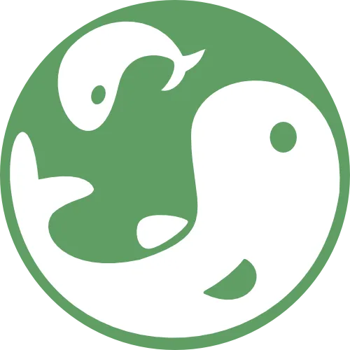 Koi Craft