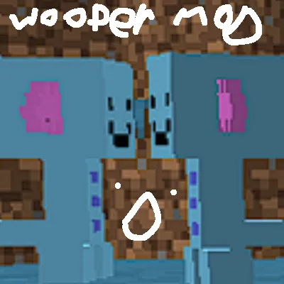 Wooper Dimension