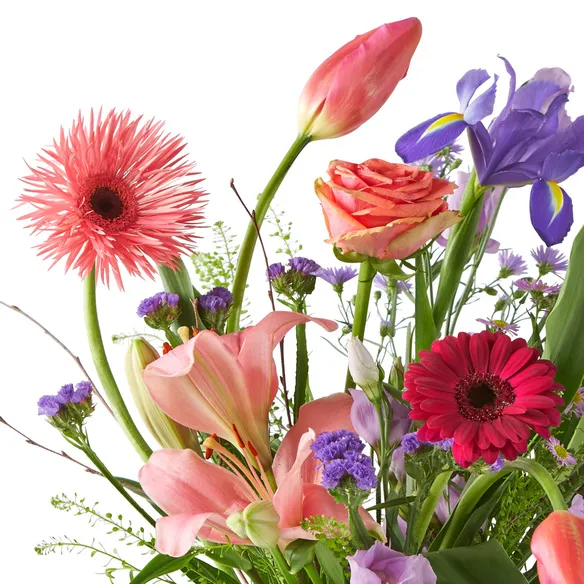 Spring's Mod of Randomness