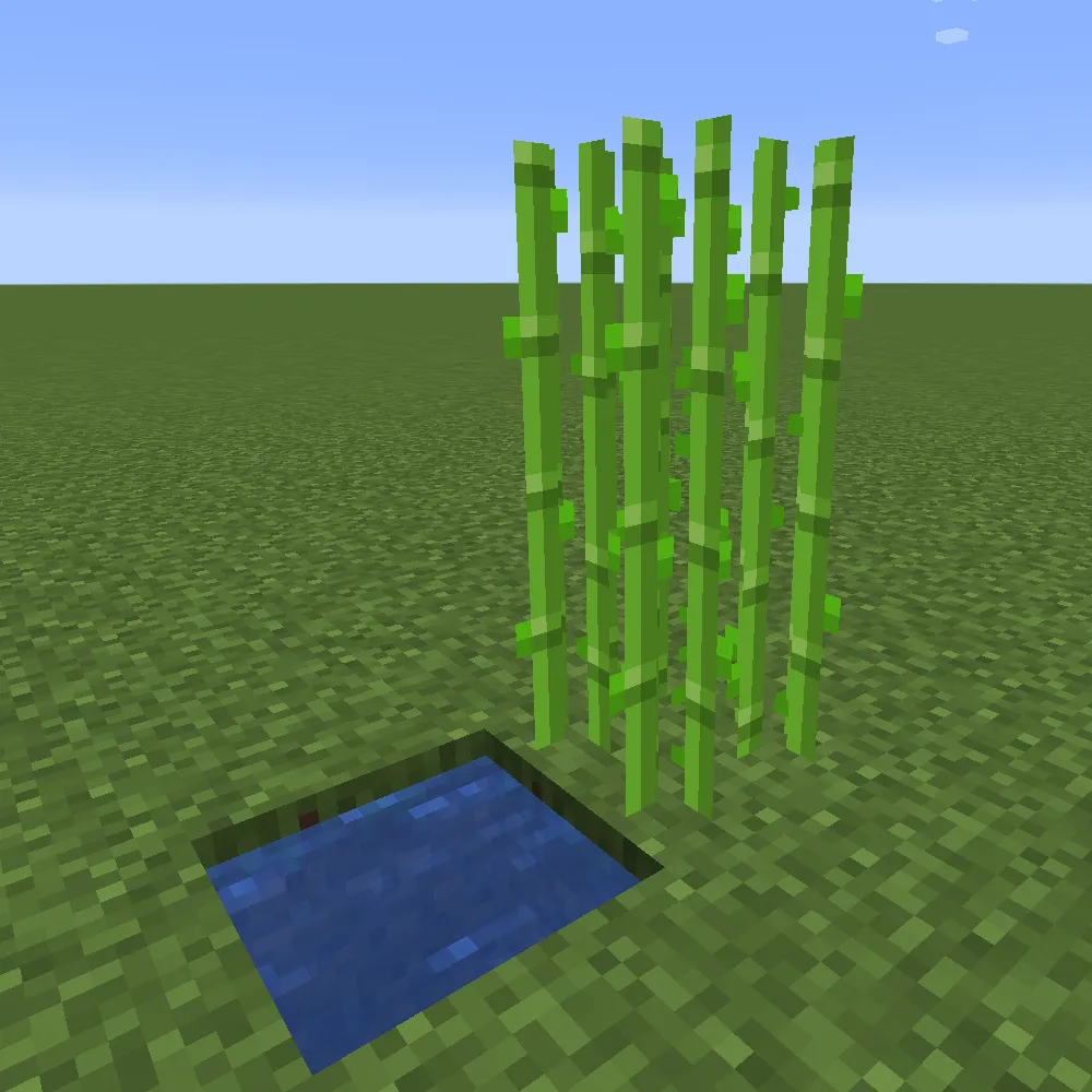Crop-Like Sugar Cane