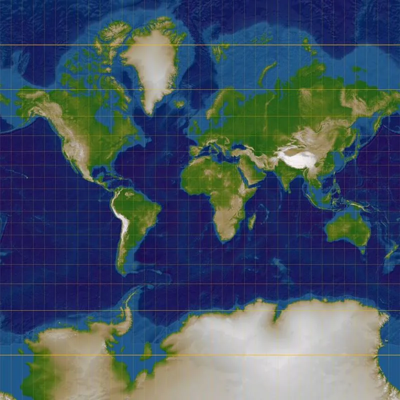 The Real Life World