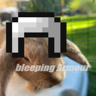 bleeping Armour