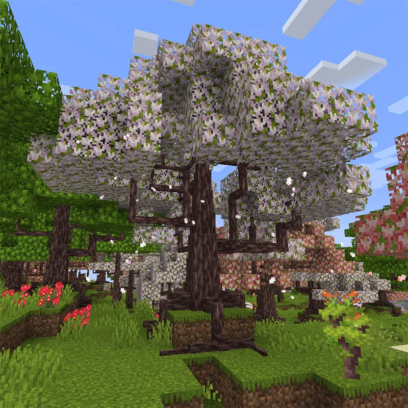 Dynamic Trees - Regions Unexplored