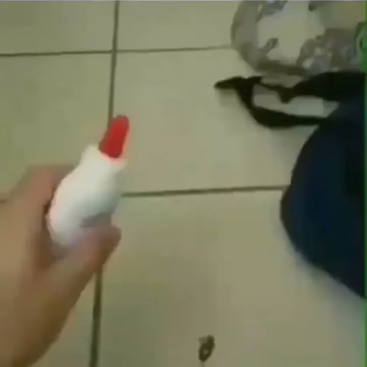 glue on the roach  temazo meme music disc