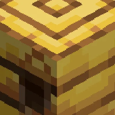 Bees and Beyond