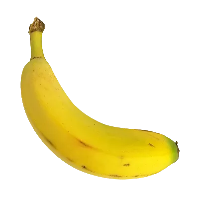 Monke Banana 