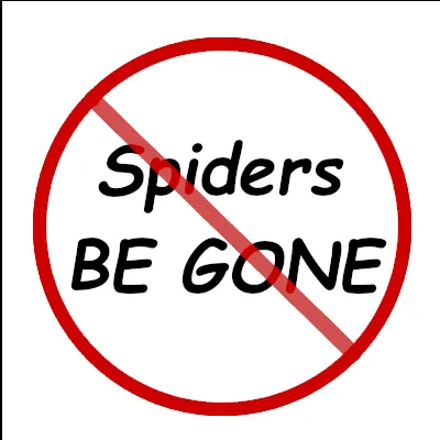 Spiders BE GONE