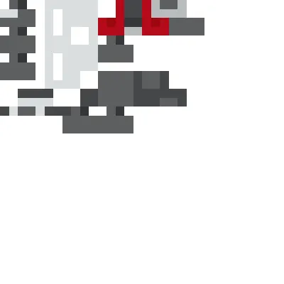 Cicada Insect (Full Life Cycle)