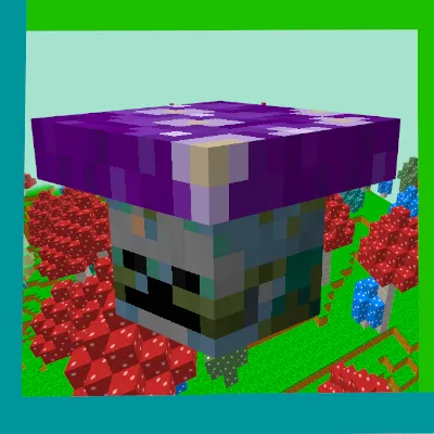 Fungi Dimension