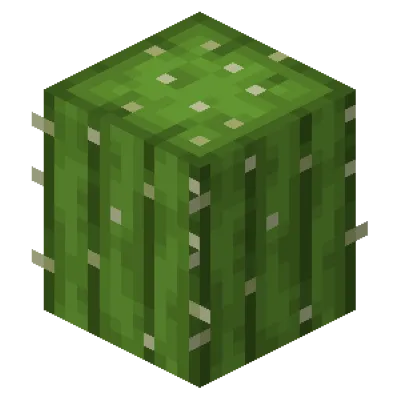Cactus Tools