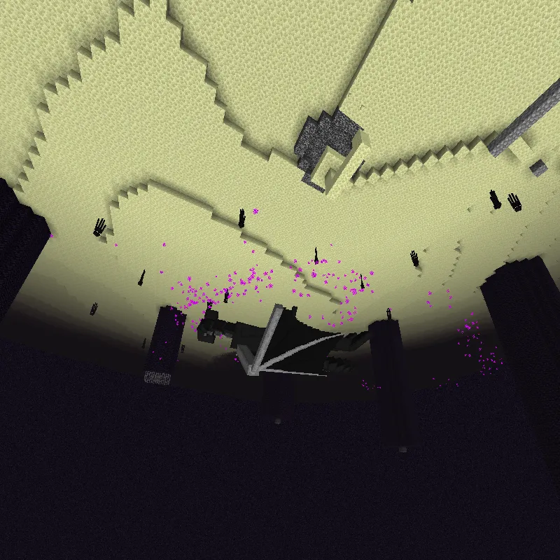 Gravity Ender Dragon Rework