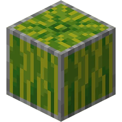 Mega Chest