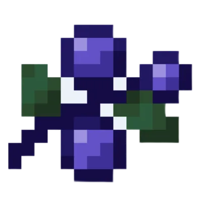 Blue Berries Delight