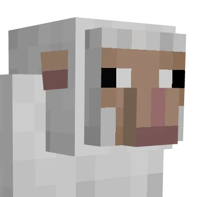 Kassy's Sheeps