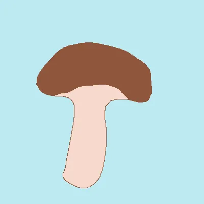 Funguy and mushrooms