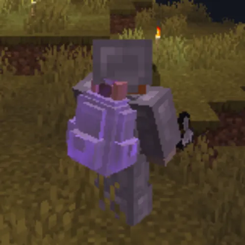 Server Backpacks Reborn