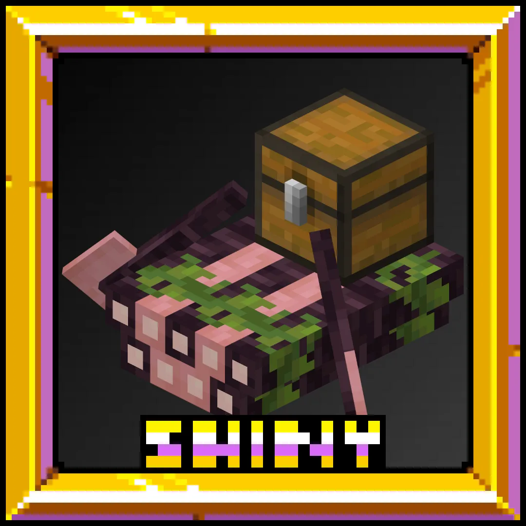 Shiny's Rafts