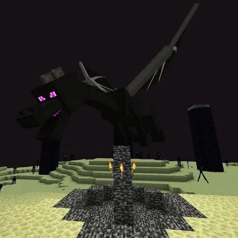 Ender Dragon Egg Respawn