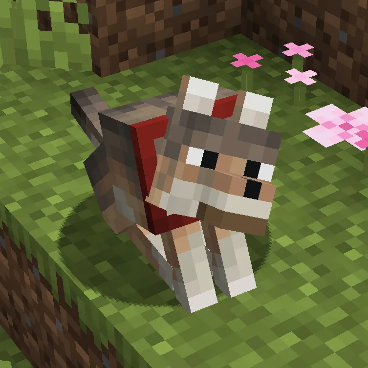 Crashers Wolves