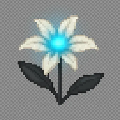 Mystery_Plants
