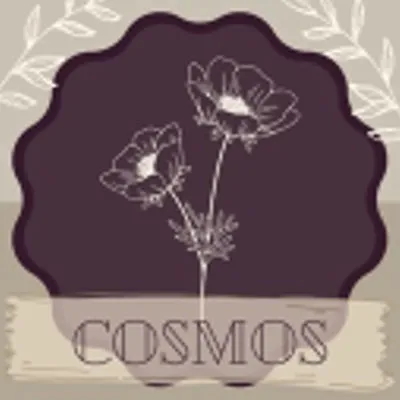 Seeds of Cosmos Currency