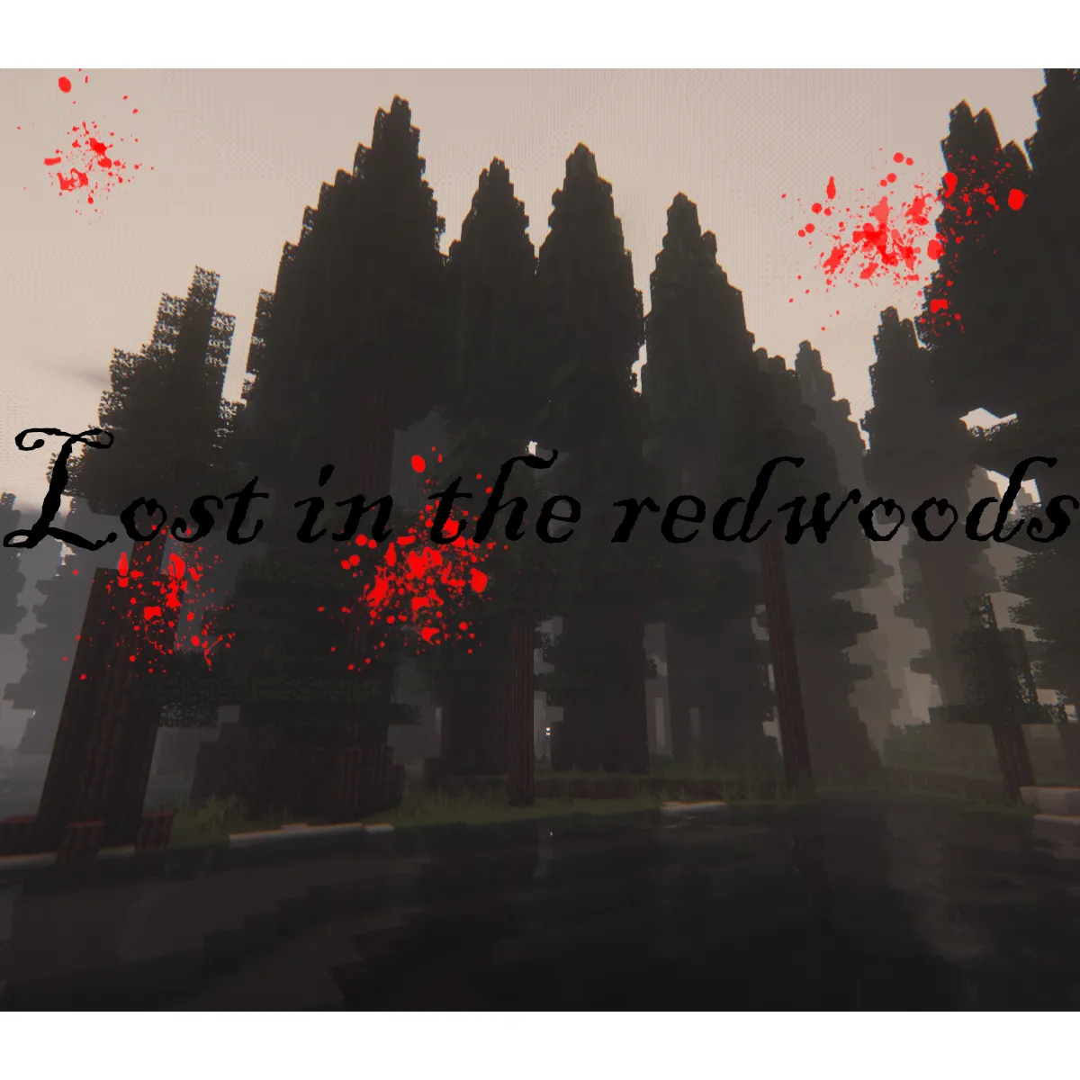 Lost in the redwoods