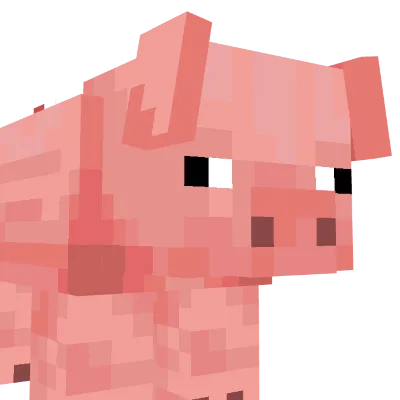 Kassy's Pigs