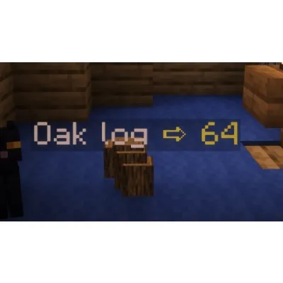 ItemDisplayPlugin
