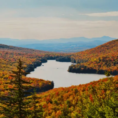 vermont stuff