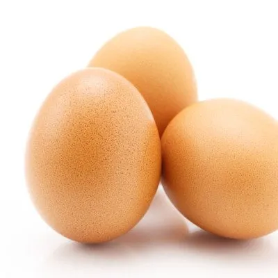 Battle Eggs (No More Updates)