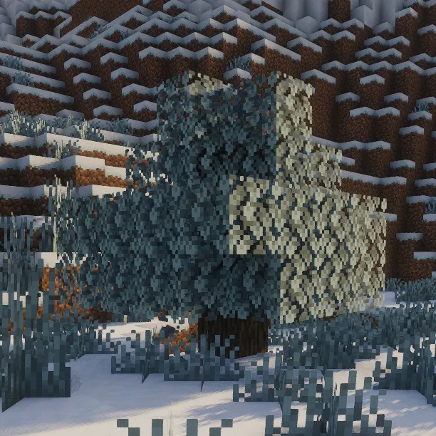 Winter Time