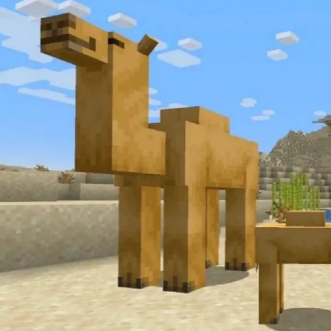 Camel To Giraffe