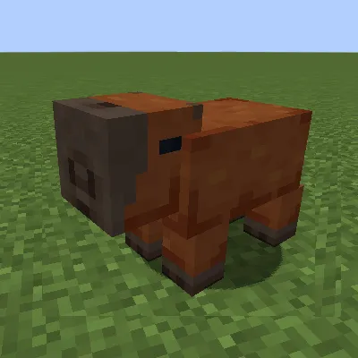 Capybara Craft