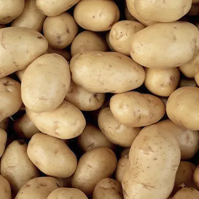 RSALogin
