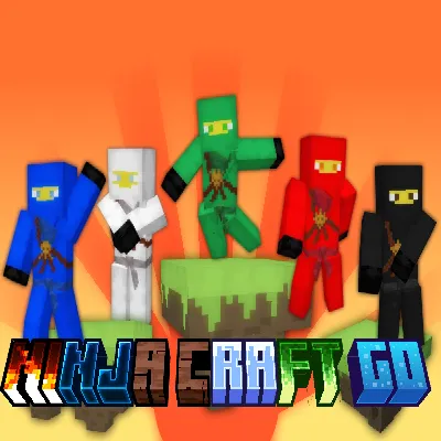 Ninja-Craft-Go
