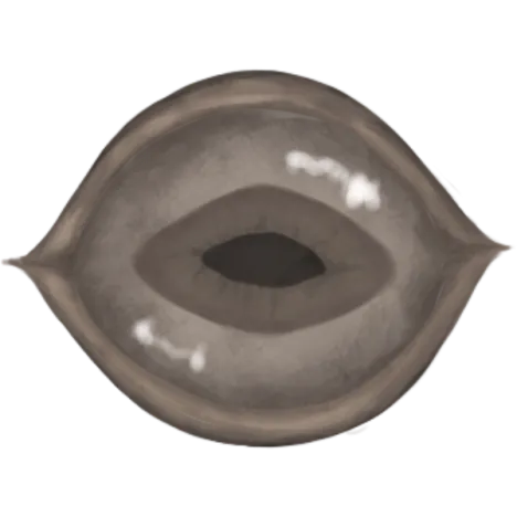 The SCP SMP project