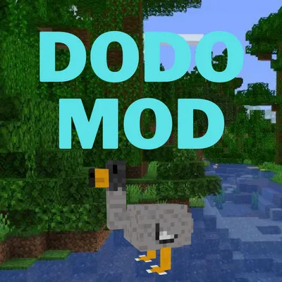 Dodo World!