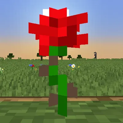 Rose UpPort