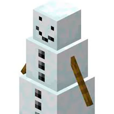 Winter Forts