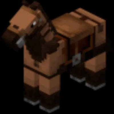 BreedHorse