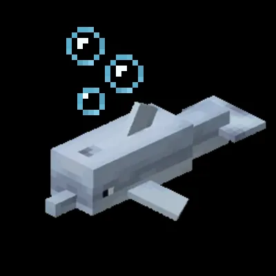 Dolphin Swim Enchantment