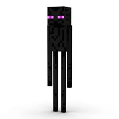 Enderman roleplay