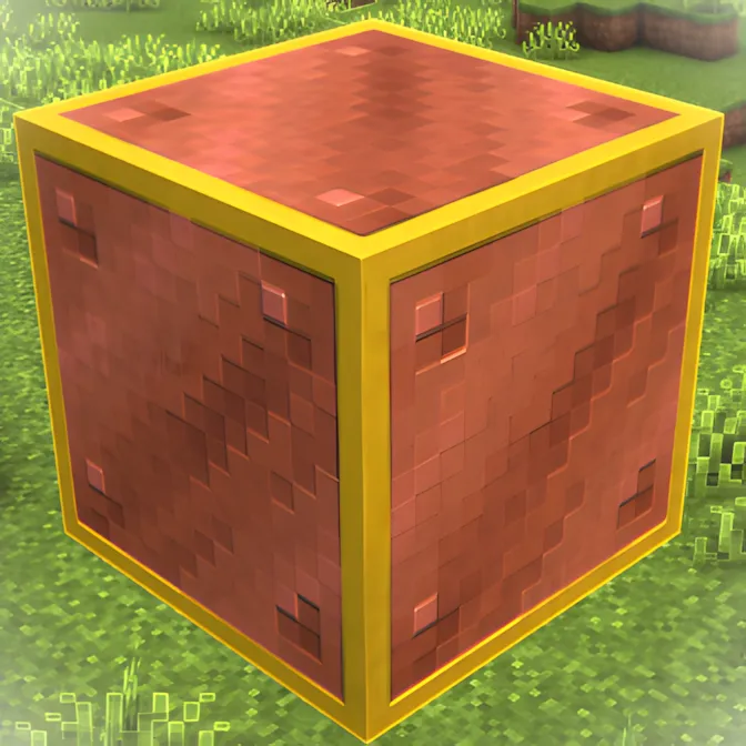 Visible & Outlined Waxed Blocks